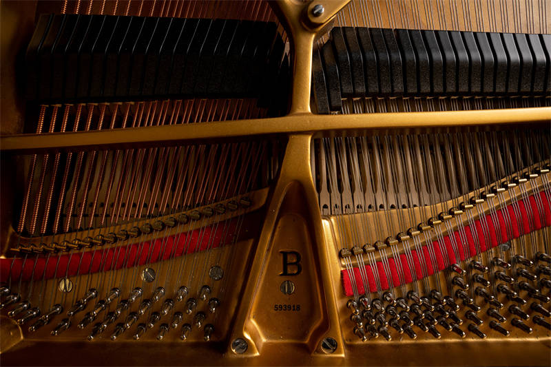 一款優雅手表與這位鋼琴家共鳴