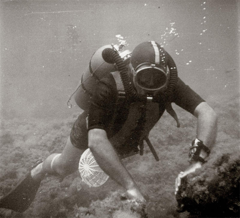 工藝與設計完美結合：多功能表